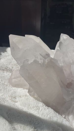 56 LB Stunning Slightly Pink Lemurian Cluster