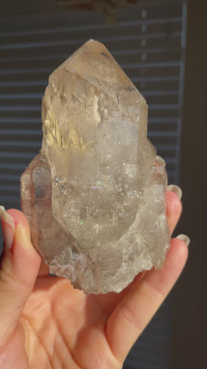 Self Healed Mont Blanc Smoky Quartz