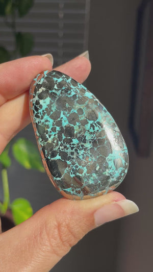 Turquoise and Pyrite Palm Stone