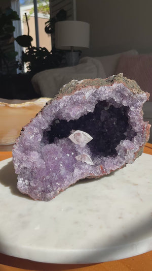 Moroccan Geode with Double Terminated Calcite