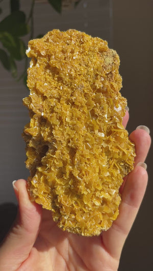 Wulfenite with stand