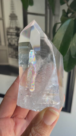 Partially Polished Brazilian Lemurian