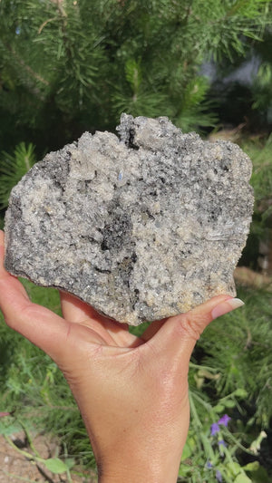 Black Tourmaline Samadhi Himalayan Quartz Cluster with Stand