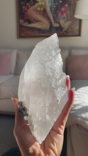Durango Selenite from La Platosa Mine