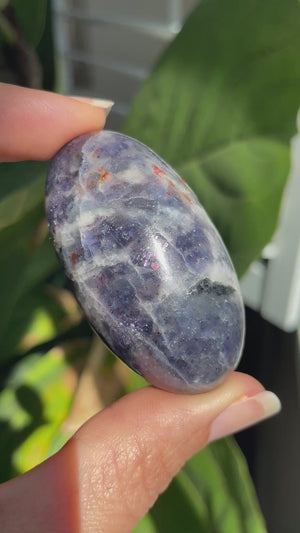 Flashy Iolite Shiva