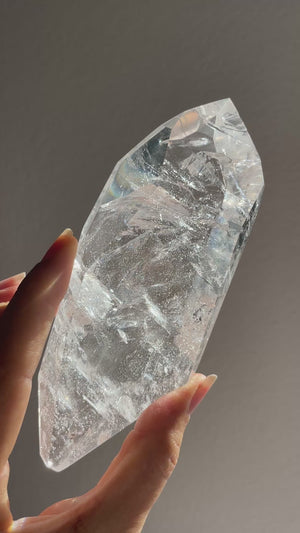 Lemurian in Custom Stand