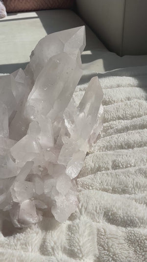 56 LB Stunning Slightly Pink Lemurian Cluster