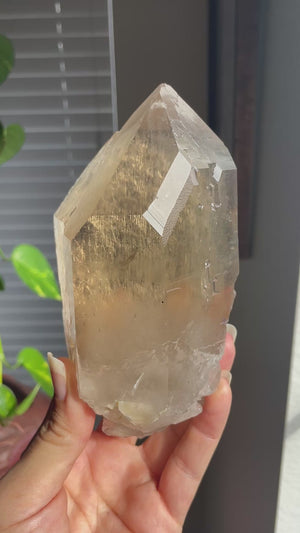 Smoky Citrine with Record Keepers