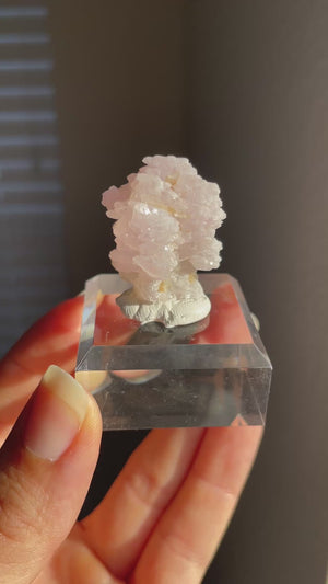 Crystallized Rose Quartz