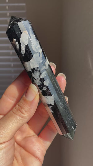 Black Tourmaline & Clear Quartz Vogel