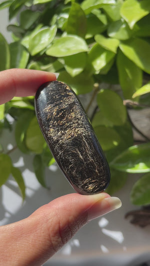 Phlogopite Mica Elongated Palm Stone from Russia