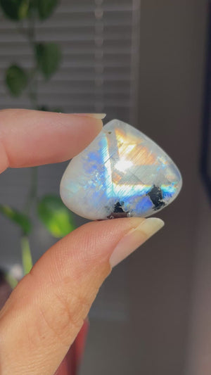 Rainbow Moonstone Teardrop Cabochon
