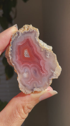 Laguna Agate from Mexico