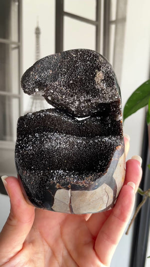 Septarian Freeform