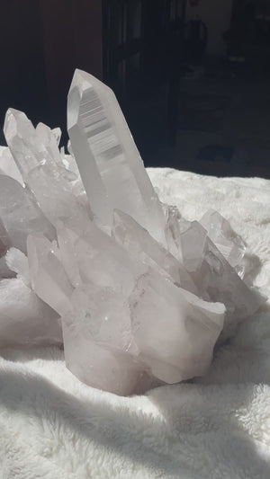 56 LB Stunning Slightly Pink Lemurian Cluster