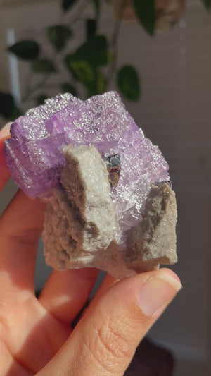 Fluorite with Sphalerite from the Elmwood Mine, Tennessee