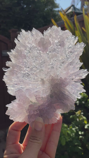 Amethyst Flower on Stand