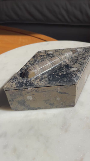 Orthoceras Fossil Box
