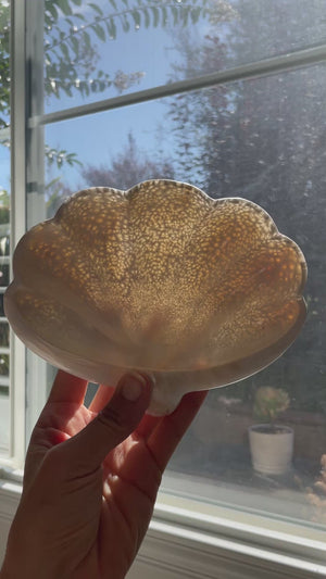 Scolecite Shell Bowl