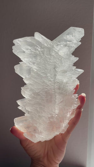 Naica Fishtail Selenite with Stand
