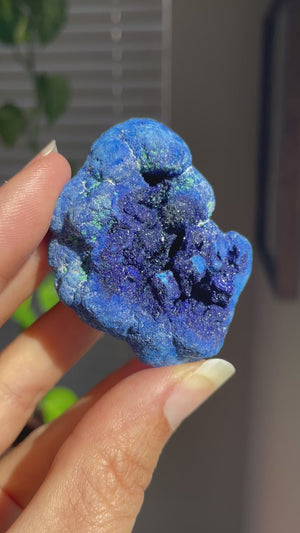 Azurite "Blueberry" Geode