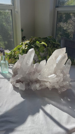 56 LB Stunning Slightly Pink Lemurian Cluster