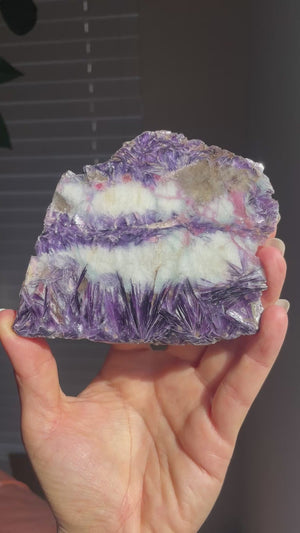 Russian Lepidolite, Pink Tourmaline and Smoky Quartz Slab with Stand