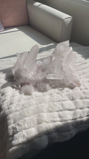56 LB Stunning Slightly Pink Lemurian Cluster