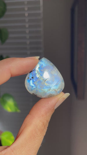 Rainbow Moonstone Teardrop Cabochon