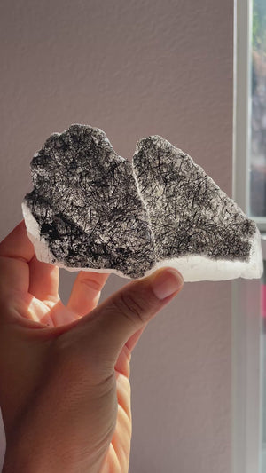 Self Healed Clear Quartz with Black Tourmaline