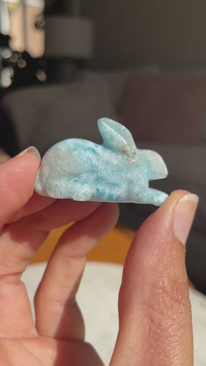 Larimar Rabbit