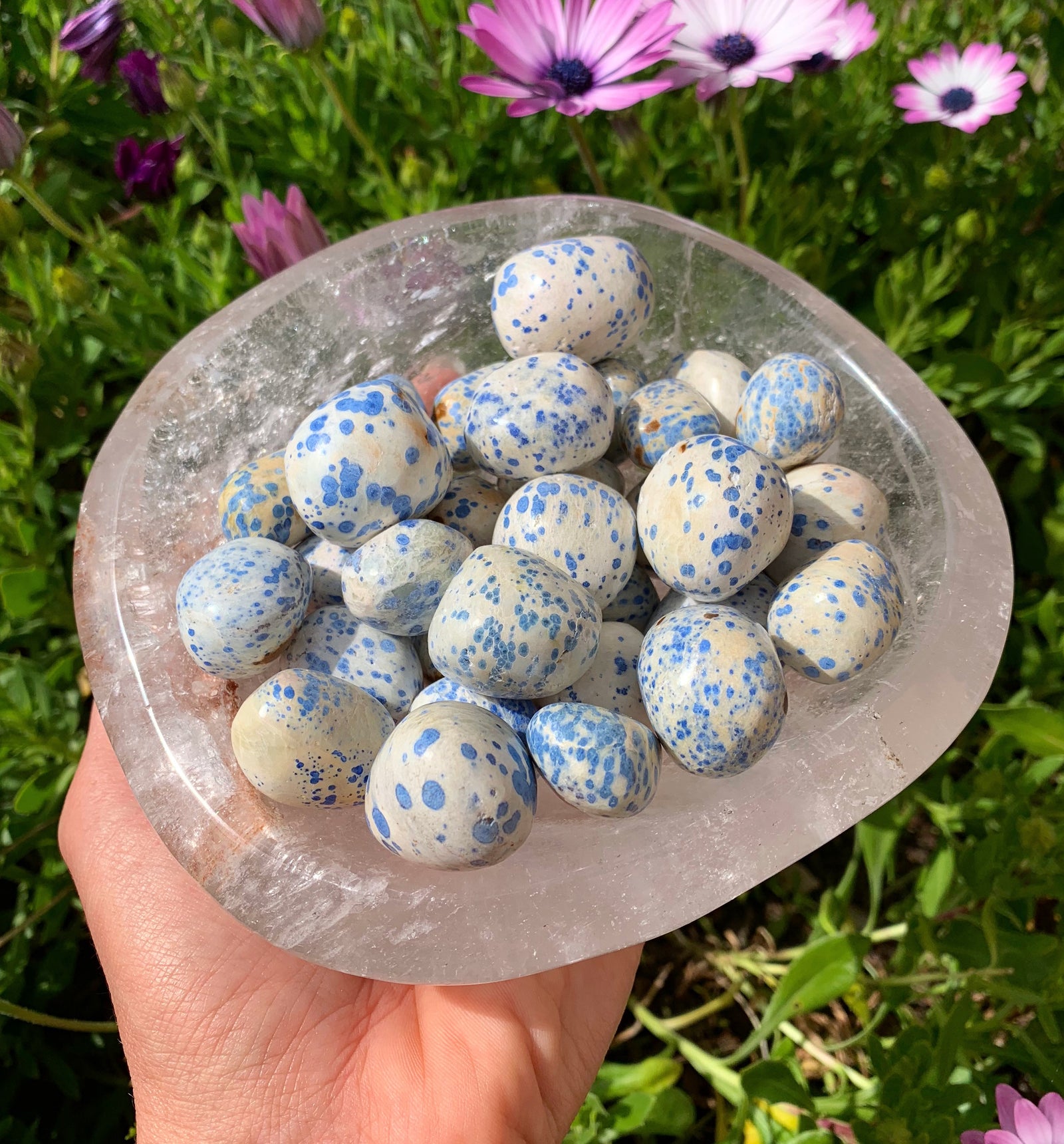 Blue Dalmatite Tumble