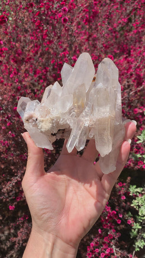 Self Standing Subtle Smoky Samadhi Himalayan Cluster