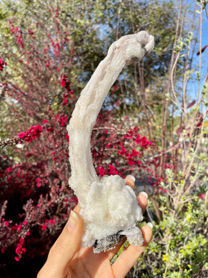 Gypsum Display Piece