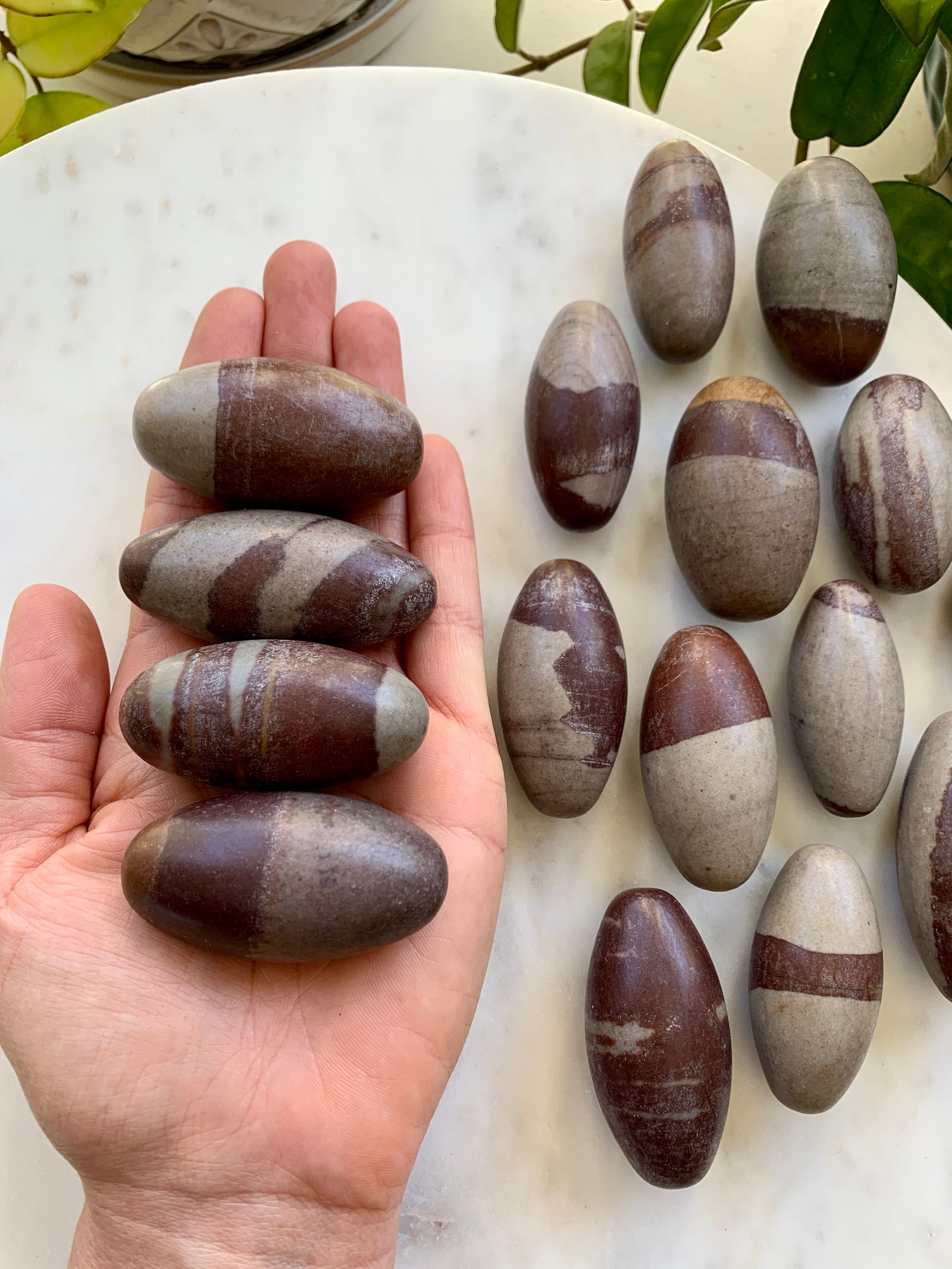 Shiva Lingam ~ Small