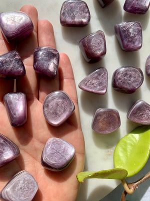 Top Grade Gem Lepidolite Tumbles