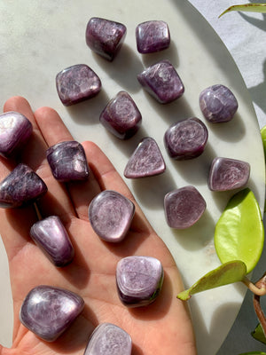 Top Grade Gem Lepidolite Tumbles