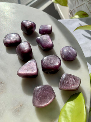 Top Grade Gem Lepidolite Tumbles