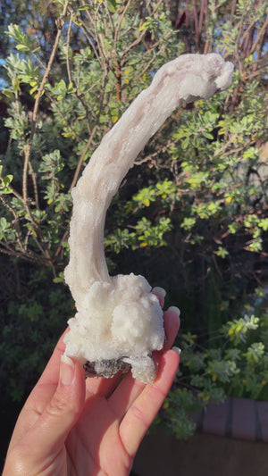 Gypsum Display Piece