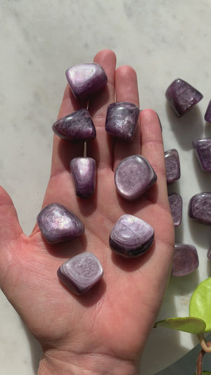 Top Grade Gem Lepidolite Tumbles